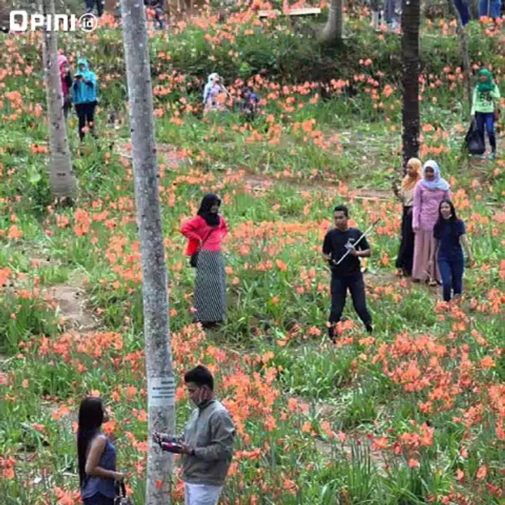 Demi Eksis Kok Merusak