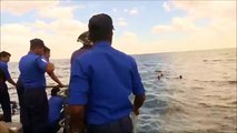Elephant dragged out to sea rescued in Sri Lanka