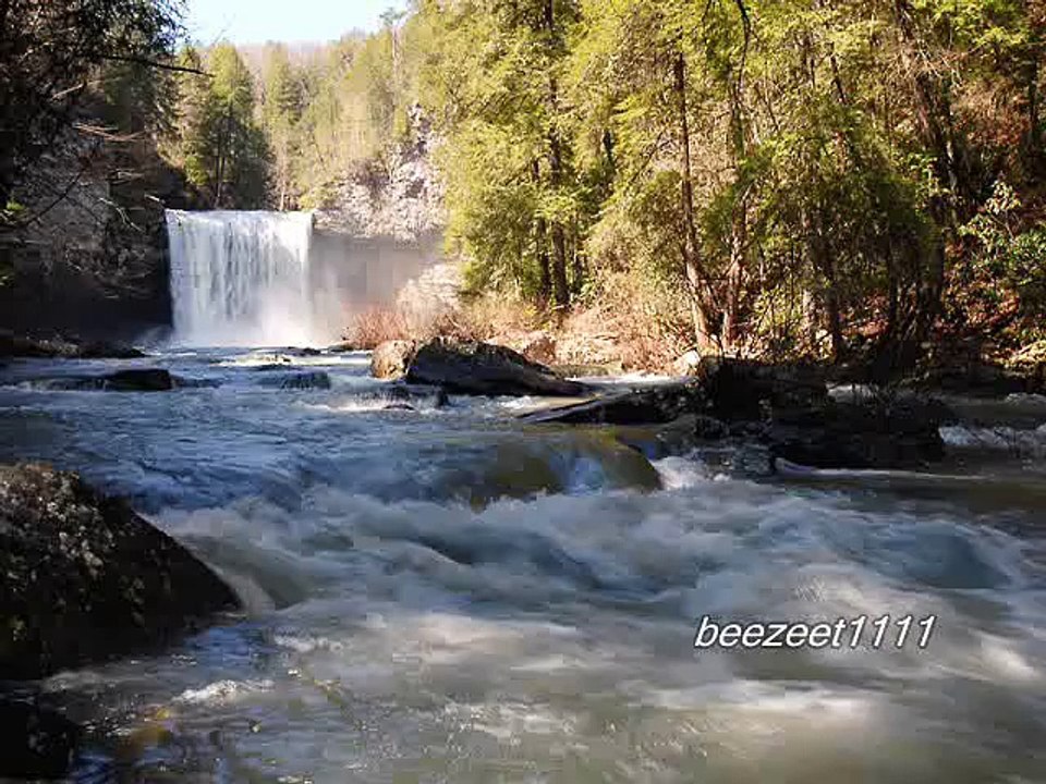 Bez tytułu