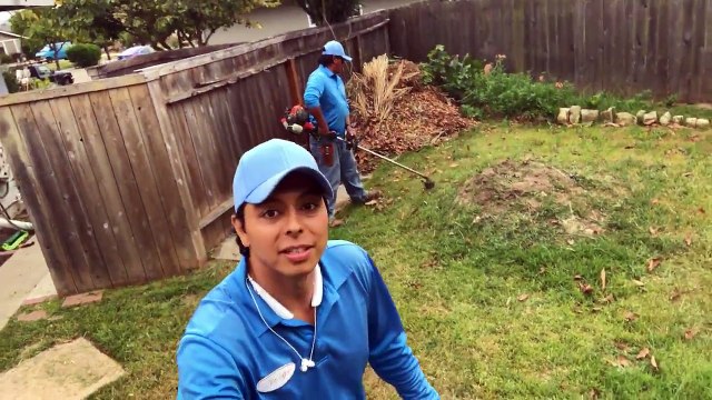 Every Other Week Landscape and Garden maintenance