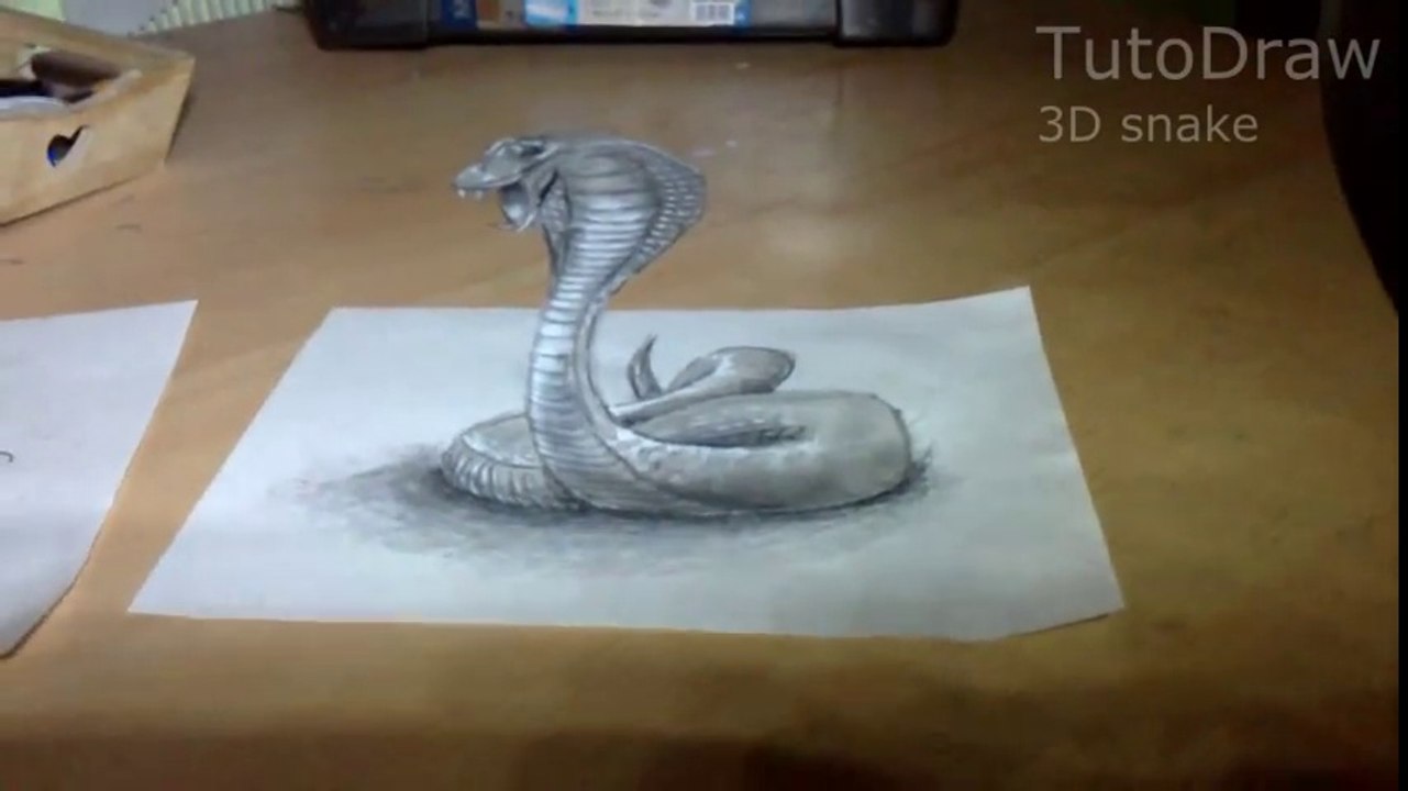 Anamorphic illusion, Drawing Snake 3D - Time Lapse