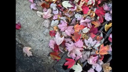 Αποφραξεις Λαύριο – 2299048776 – Apofraχeis Laurio