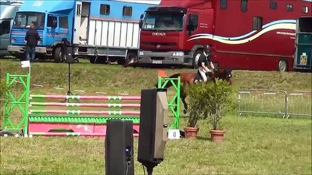 2012 - Selle FranÃ§ais Gelding (Rock'n Roll Semilly x Socrate de ChivreHN.mp4