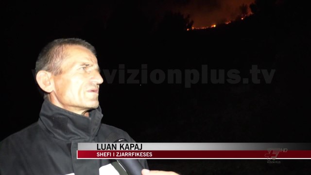 Situatë alarmante nga zjarret, kërkohet ndihmë nga Brukseli - News, Lajme - Vizion Plus