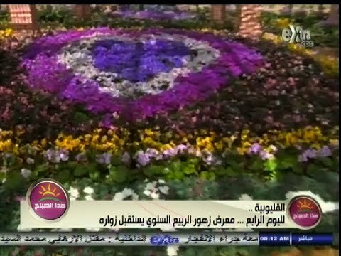#هذا_الصباح | #القليوبية ٫٫ معرض زهور الربيع السنوي يستقبل زواره