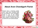 Send Flowers to Chandigarh