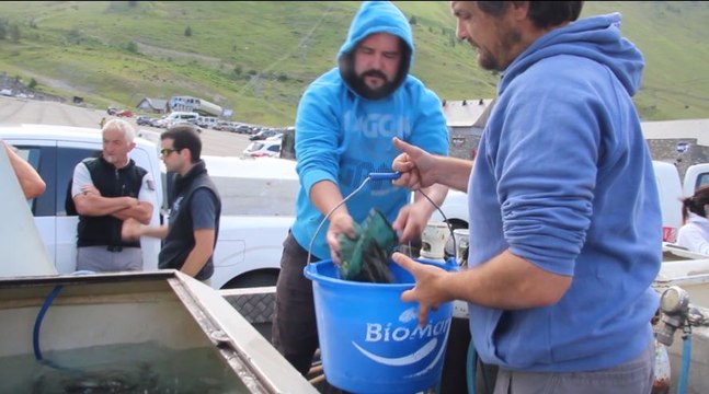 Opération d'alevinage dans les lacs de montagne des Hautes-Pyrénées
