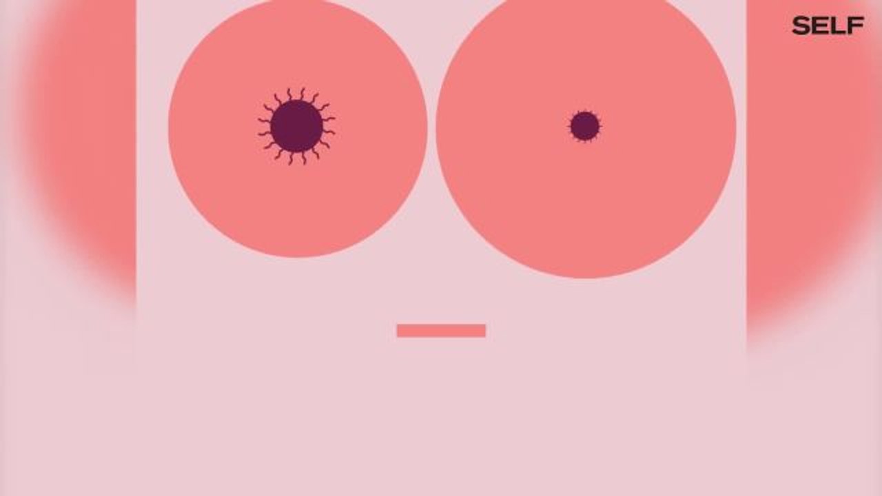 Koylaklar ostida yalangoch mushuklar