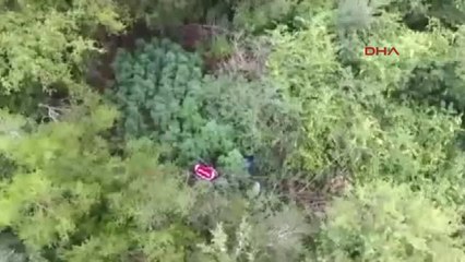 Bursa Havadan Drone, Karadan Narkotik Köpeğiyle Kenevir Operasyonu