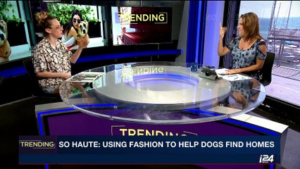TRENDING | So haute: using fashion to help dogs find homes | Thursday, August 3rd 2017