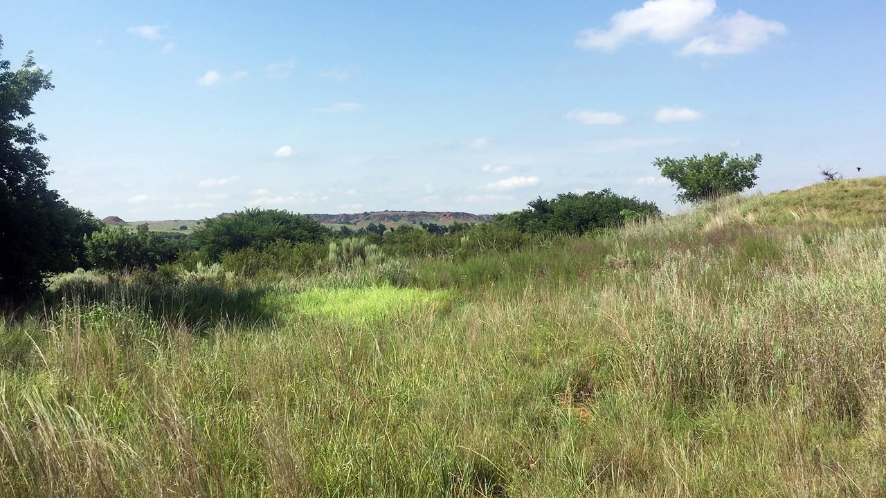 Brian Ghilliotti: Reflections on the Battle of Washita: Custer Observation Point, Casualty Politics, Horses, Human Shields
