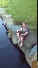 حاول إنقاذ فرخ البط شاهد كيف تصرفت معه أمها !