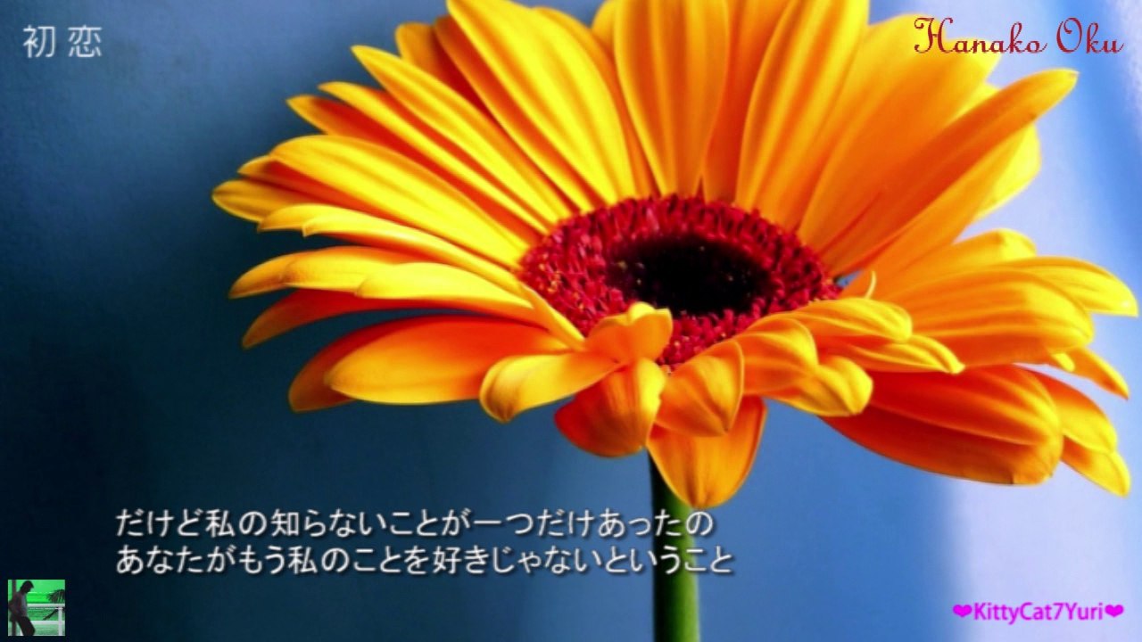 これからもずっと一緒にいると思ってた．．．