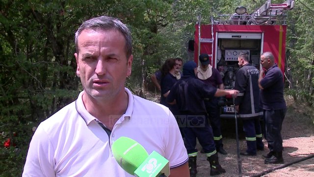 Demiraj: Zjarret, rrezik për sigurinë kombëtare - Top Channel Albania - News - Lajme