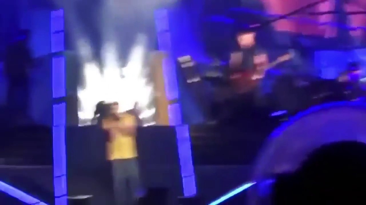 One Direction reunion at a solo Niall concert