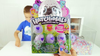 INCROYABLE, NOTRE HAMSTER A PONDU DES OEUFS !