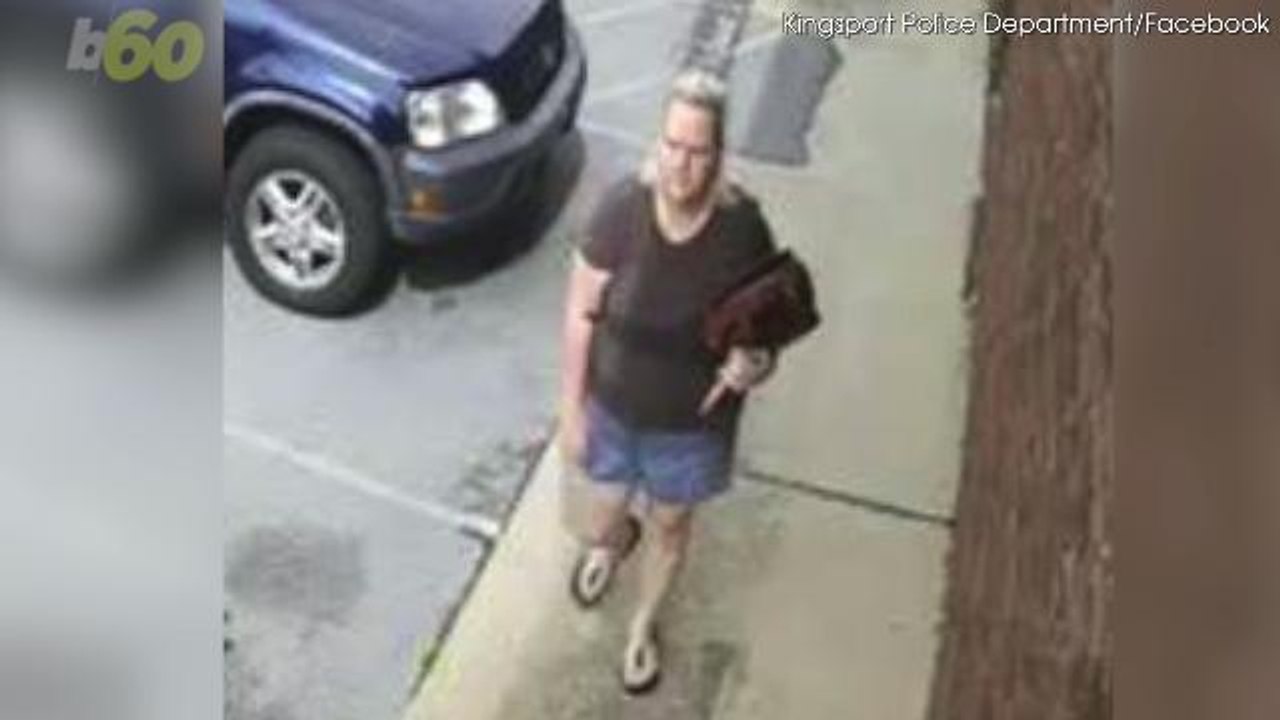 Woman Tries to Steal $1,000 Dollhouse Until She Realizes It Won't Fit in Car