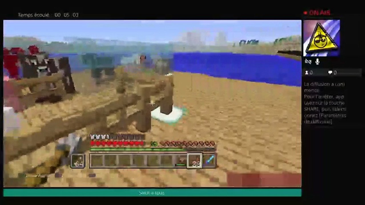 Live minecraft (5)