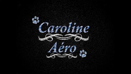 ♪ Aérographe sur un pot de fleurs ♪