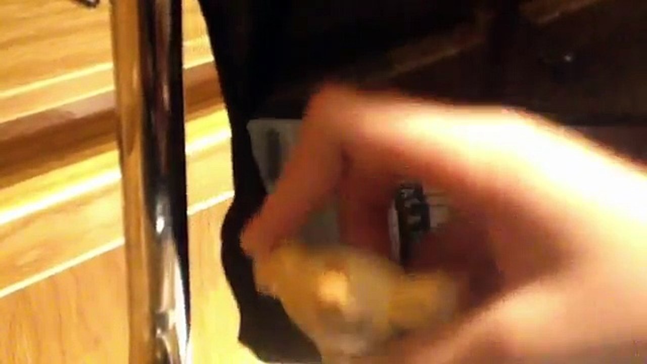 WE FOUND THE SCRIPT!