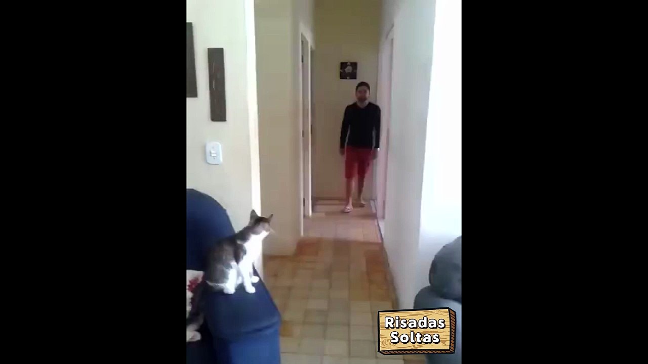 Homem mostra como o seu gato o cumprimenta com estilo