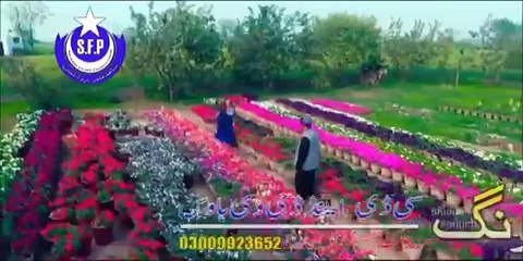 Pashto New Songs 2017 Sitara Younas Official - Sta Khanda