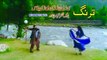 Pashto New Songs 2017 Dil Raj & Shaziy Khan Official - Dus Khushi Ba Mane