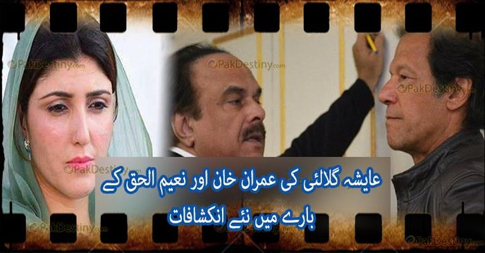 Imran Khan and Naeemul Haque Proposed Me Ayesha Gulalai Revealed