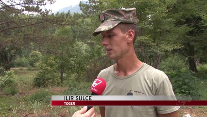 Luftë me flakët në malin e Dajtit - News, Lajme - Vizion Plus