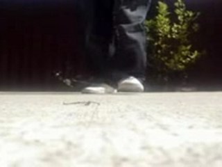 Cwalk advance 6