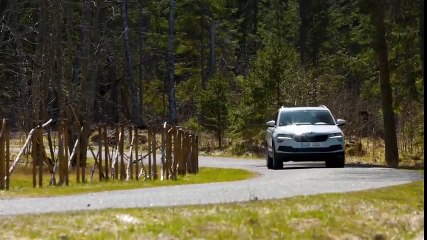 2017 Opel Crossland X vs 2017 Skoda Karoq