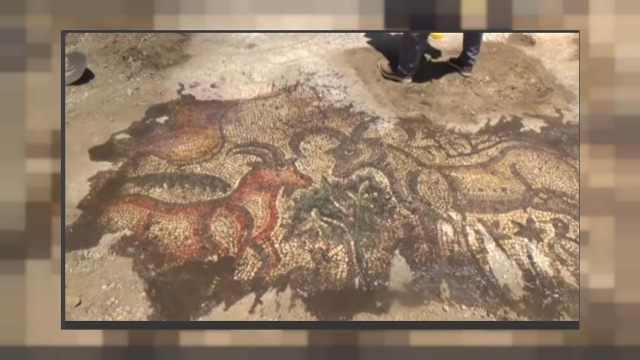 Römisches Mosaik in Südostanatolien entdeckt
