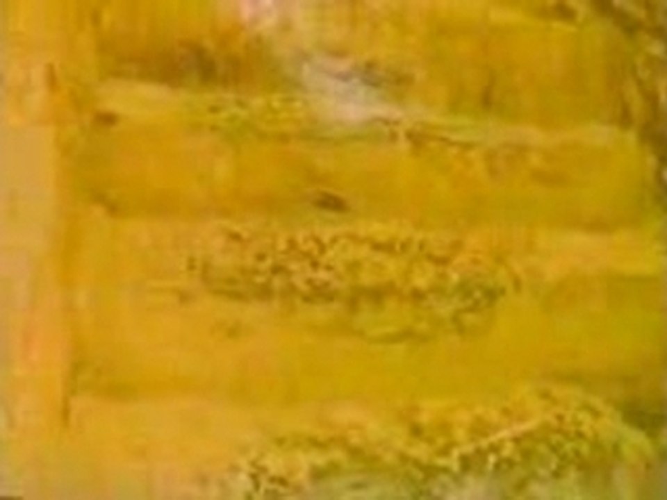 KOSOVO CRUCIFIED. Part I