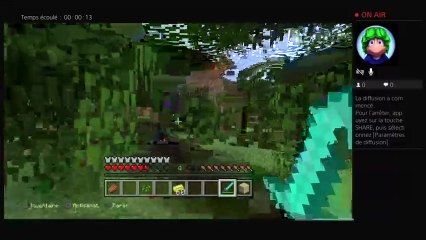 Minecraft épisode1 survie (4)