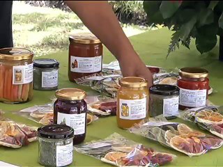 Se lanzó certificación de calidad de cultivos orgánicos