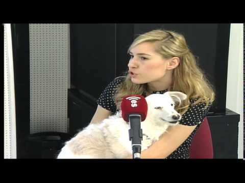 Mascotas: Acupuntura en animales - 31/03/15