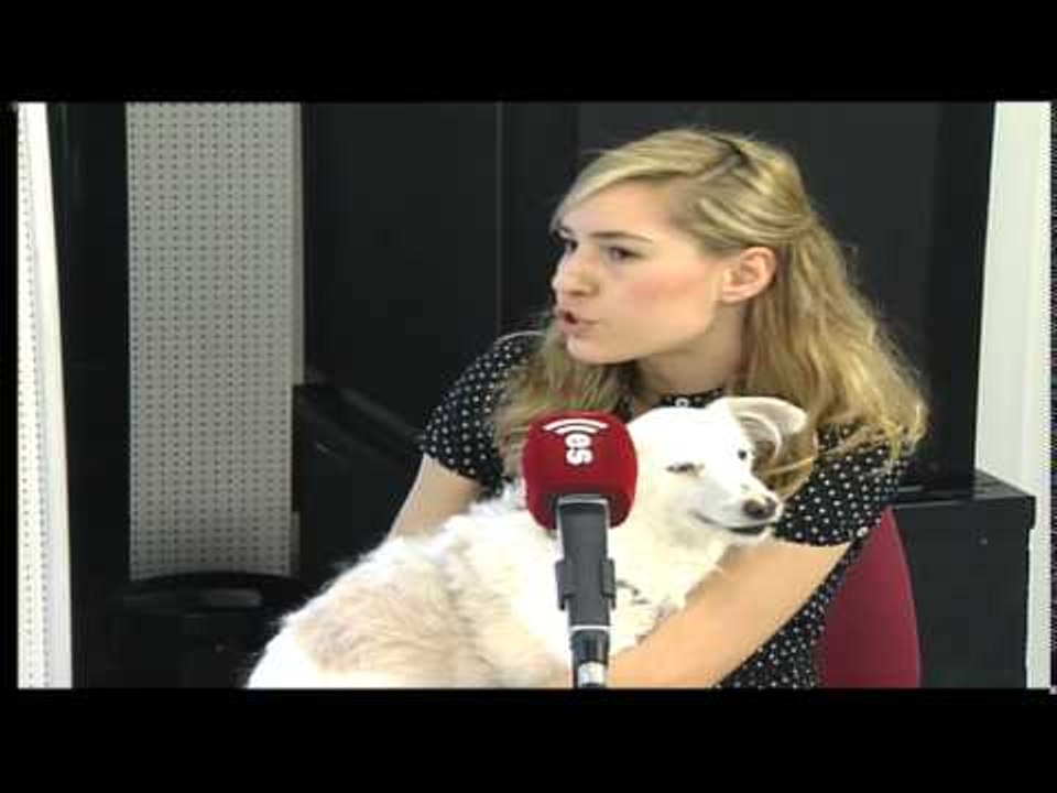 Mascotas: Acupuntura en animales - 31/03/15