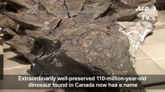 Well-preserved dinosaur unearthed in Canada gets name, backstory