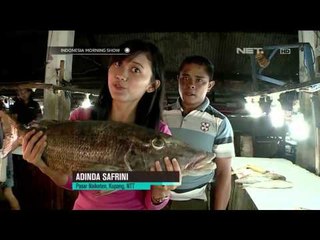 Pasar Rakyat Nusantara di Naikoten Kupang -IMS