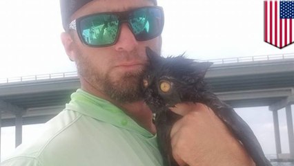 Black cat thrown off of bridge rescued by boat captain