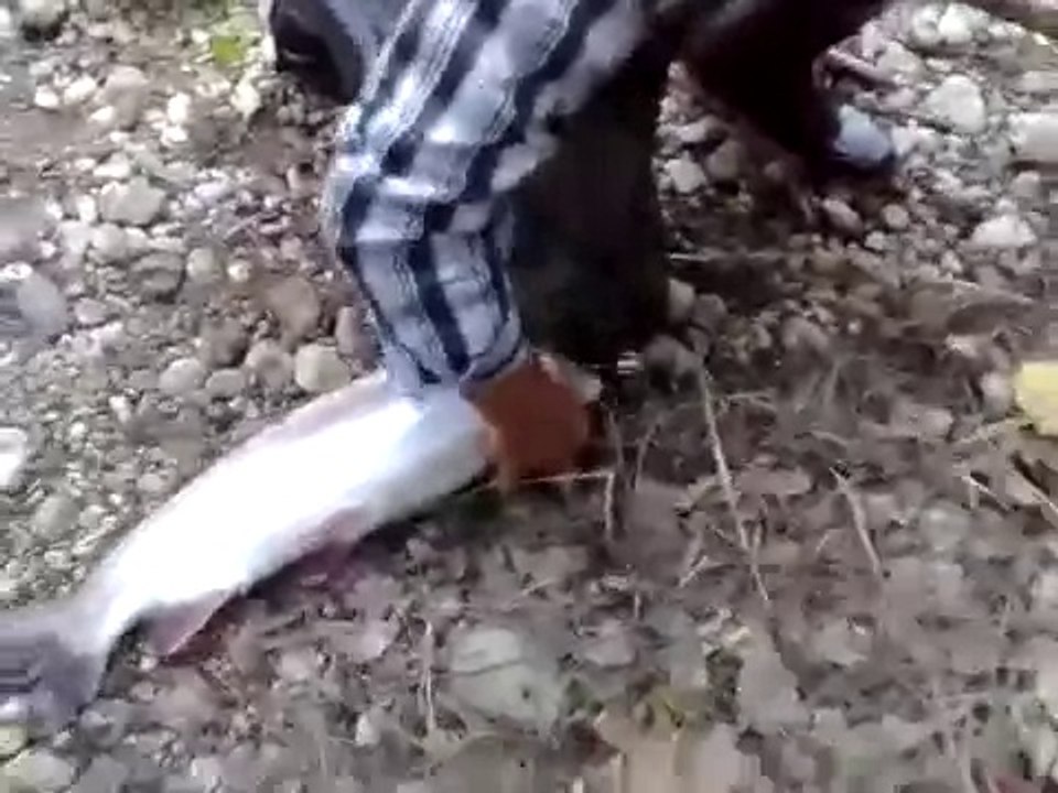 Alabalık Avı (3 kg)