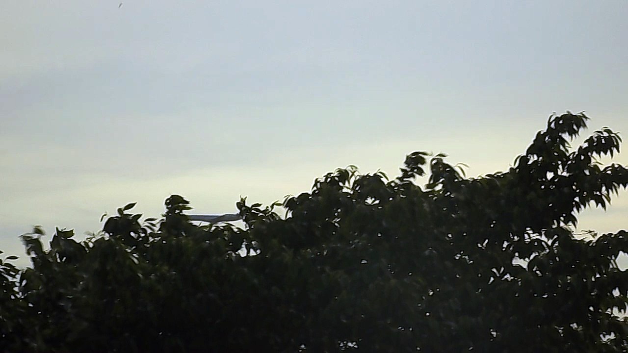 Air Plane coming in for a landing in D.C