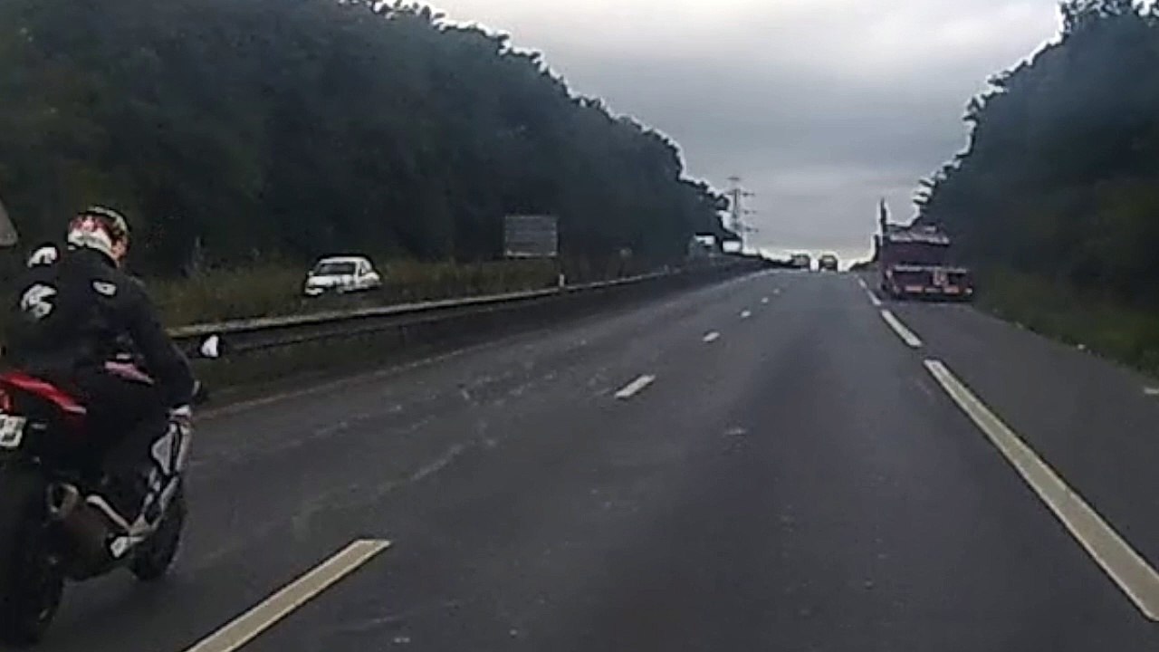 Wheelie