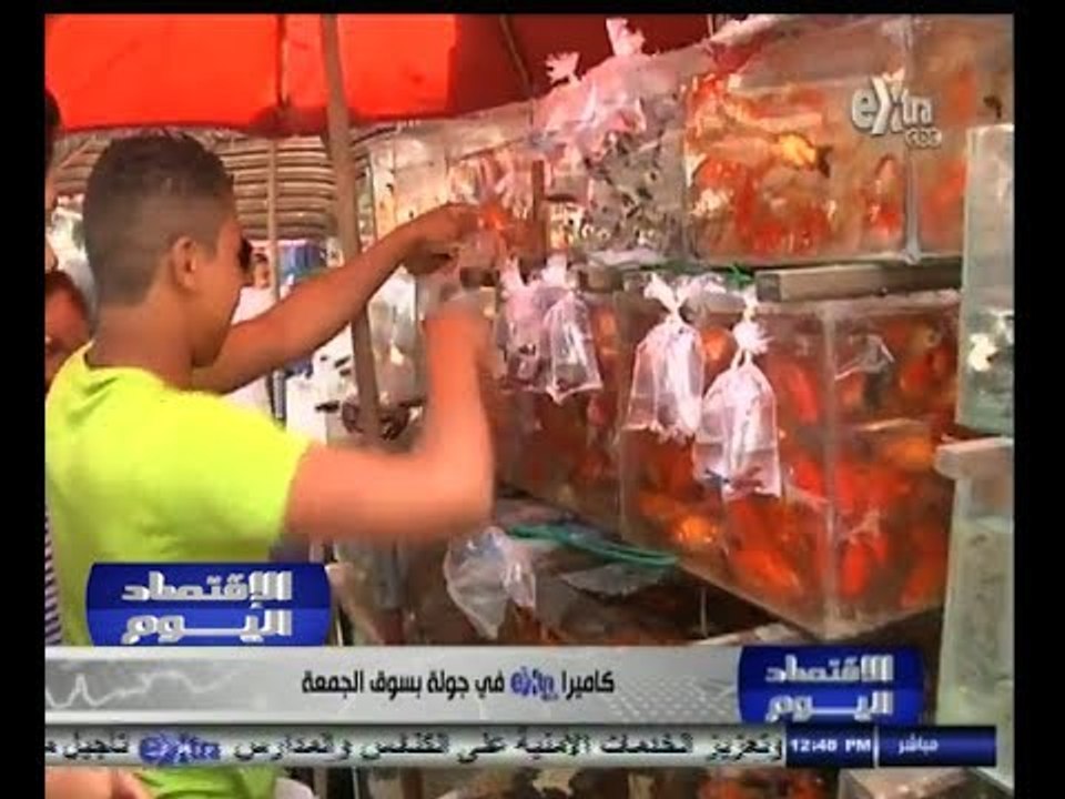 #الأقتصاد_اليوم | كاميرا سي بي سي أكسترا في جولة بسوق الجمعة