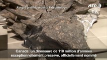 Des scientifiques révèlent l'histoire d'un dinosaure canadien