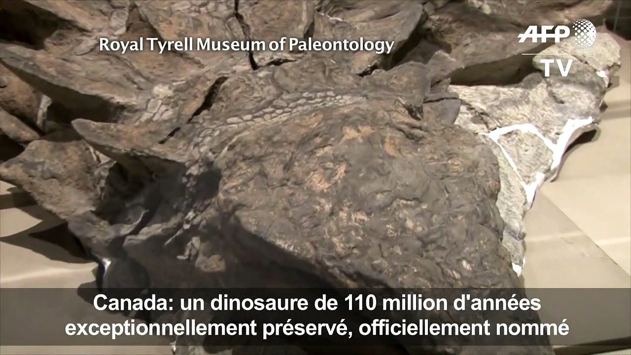 Des scientifiques révèlent l'histoire d'un dino...
