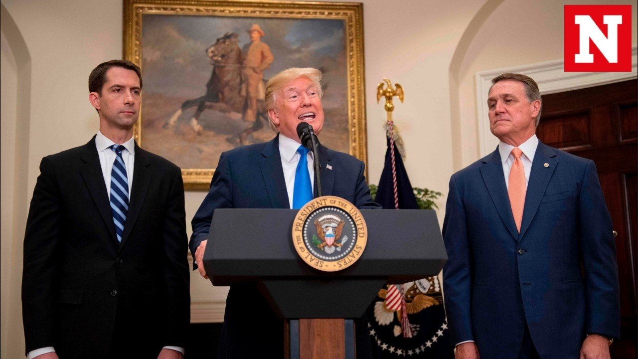 Who gets priority if Trump's point based immigration plan gets approved?