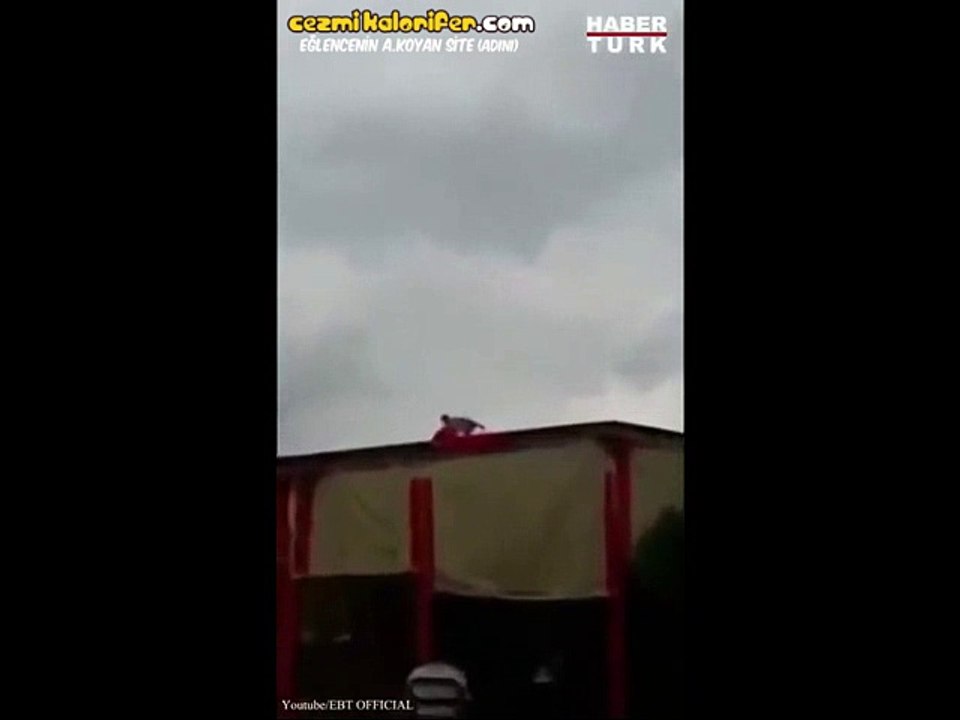 cCc Kedi Reyiz cCc