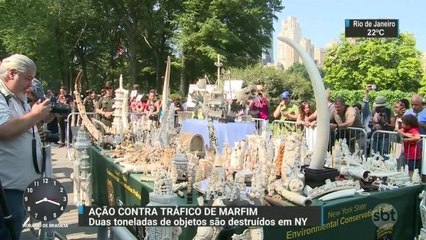 Duas toneladas de marfim são destruídas em NY