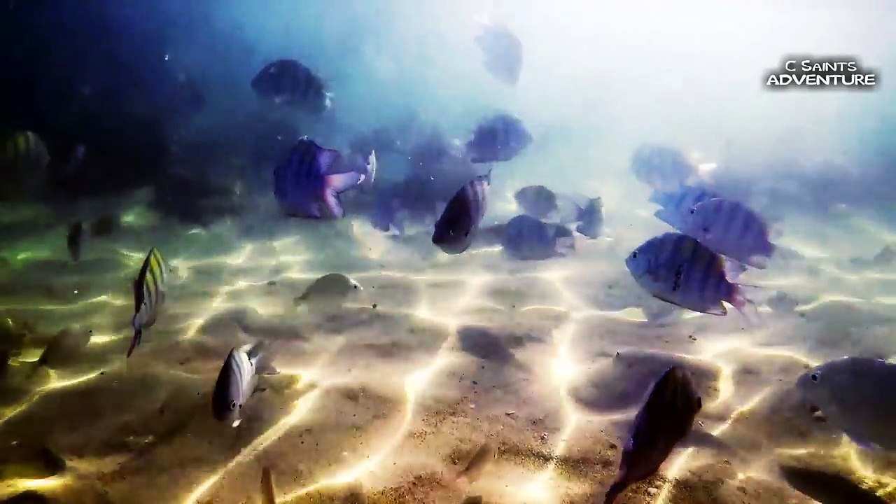 Praia da Sepultura  - Belezas e Lendas em Bombinhas, Santa Catarina, Brasil
